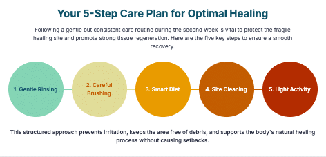5-Step Post Extraction Healing Plan
